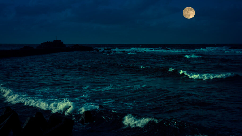 月夜の海・写真
