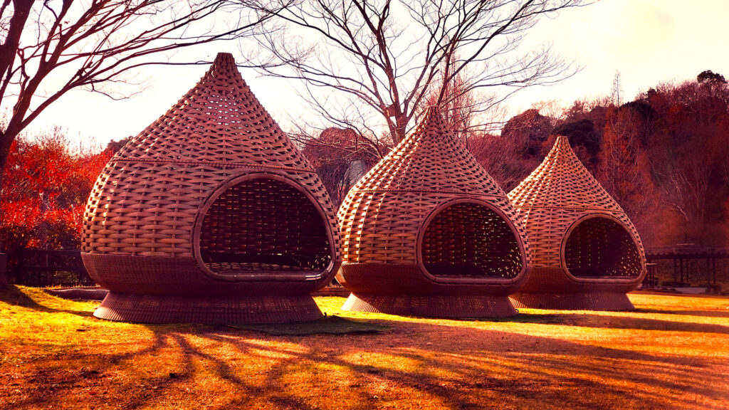 丹後大国　画像