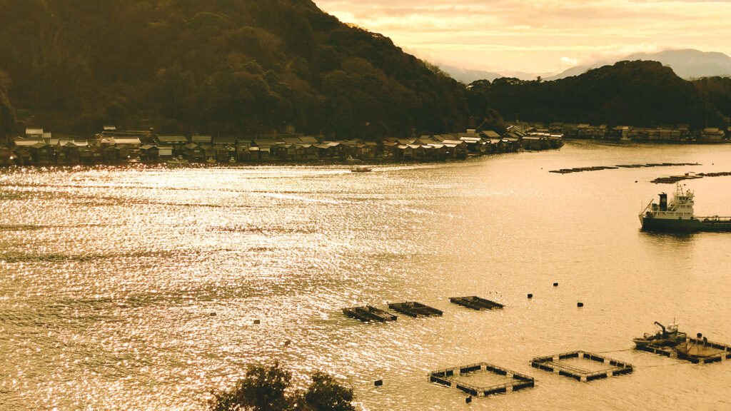 伊根湾　画像
